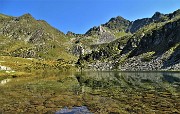 50 Piante acquatiche nel Lago Grande